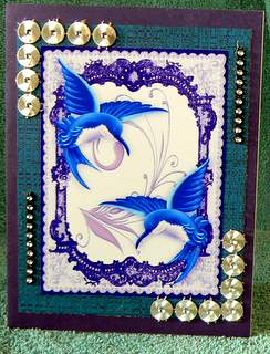 Beautiful Blue Humming Birds in Lace Frame A4 by Dorothy Manchester