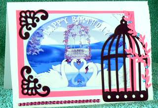 Beautiful Swans for Birthday in the Lake in Oval Frame A4 by Dorothy Manchester