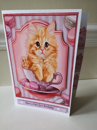 8x8 another year to craft mini kit by Dorothy Wreford