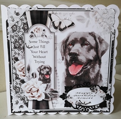 The Black Lab by Dorothy Wreford