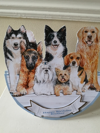 CRAZY ABOUT DOGS! rocker card by Dorothy Wreford