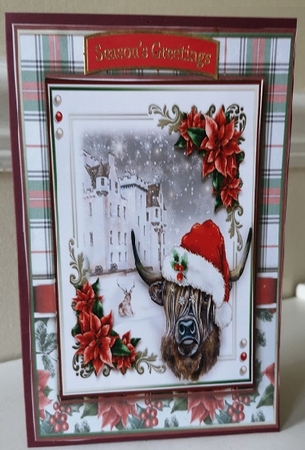 The Christmas Highland Cow by Dorothy Wreford