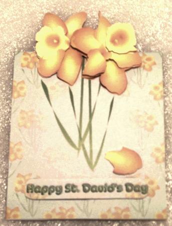 St. David's Daffodils by Edna Pattison