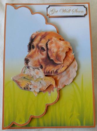 Cute Pet Envelope Card by Edna Pattison