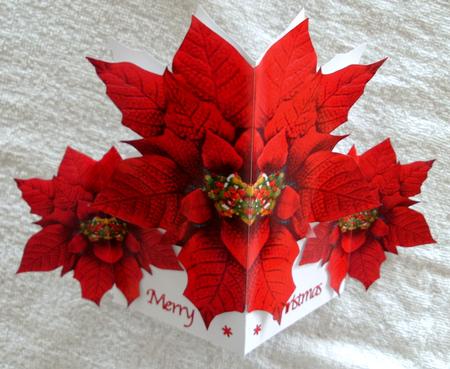 Folded Poinsettia Shaped Card with Matching Gift Cards by Edna Pattison