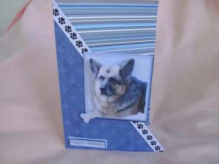 German Shepherd 3 3D Decoupage by Edna Pattison