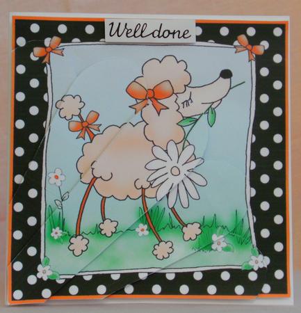 Cute Little Poodle Quick Card with Fan Pyramage Topper by Edna Pattison