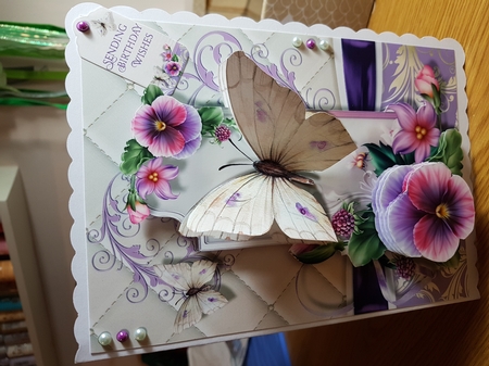 Butterflies and Blooms by eithne hynes