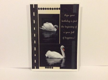 Swan Birthday Greeting Card Front by Elaine Franks