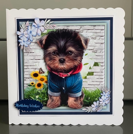 8x8 Mini Kit, Yorkies New Coat by Elaine  Harmer