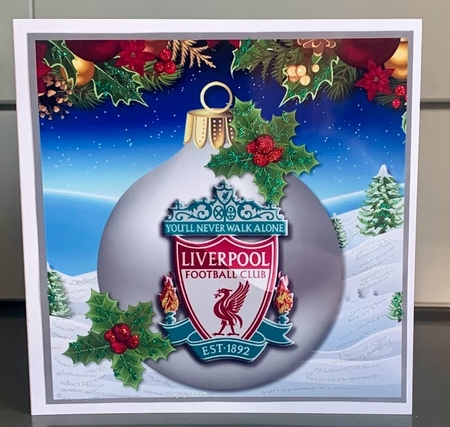 Liverpool fan Christmas by Elaine  Harmer