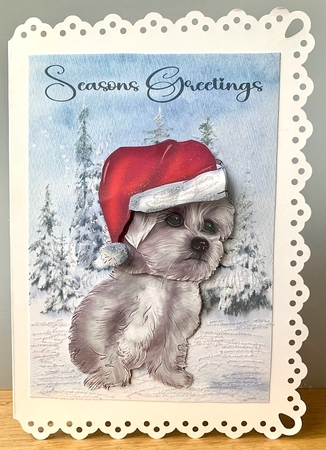 Christmas westie by Elaine  Harmer