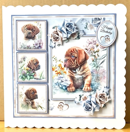 Cute Puppy Collage Collection 5 by Elaine  Harmer