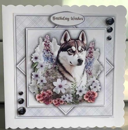 8x8 Mini Kit, Beautiful Wild Husky by Elaine  Harmer