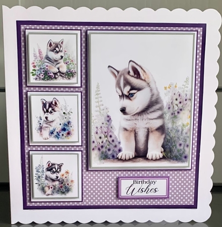 8x8 Baby Huskies Mini Kit - x5 A4 Sheets  by Elaine  Harmer