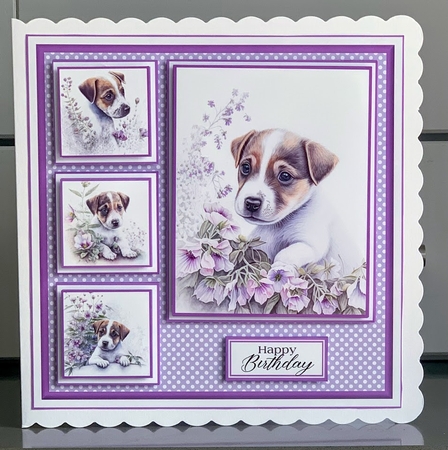 8x8 Baby Jack Russells Mini Kit - x5 A4 Sheets  by Elaine  Harmer