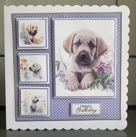 8x8 Baby Labrador Mini Kit - x5 A4 Sheets  by Elaine  Harmer
