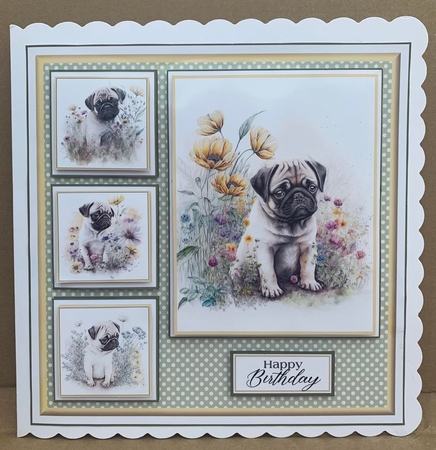 8x8 Baby Pugs Mini Kit - Decoupage, & Pyramage - x5 A4 sheets  by Elaine  Harmer