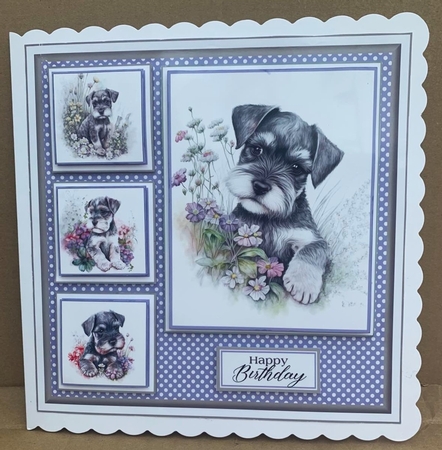8x8 Baby Schnauzer Mini Kit - Decoupage, & Pyramage - x5 A4 sheets  by Elaine  Harmer