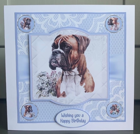 Beautiful Boxer by Elaine Harmer
