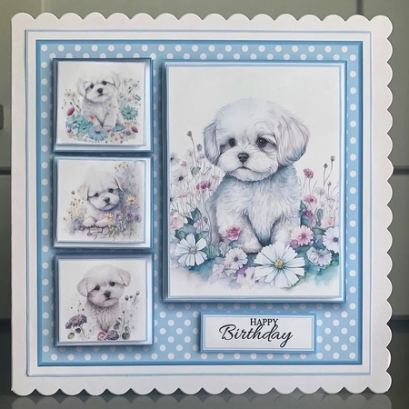 8x8 Maltese Mini Kit - x5 A4 Sheets  by Elaine  Harmer