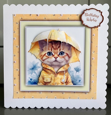 8x8 Mini Kit, Kittys Keeping Dry, Pyramid by Elaine  Harmer