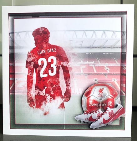 Football LFC Bumper Kit    by Elaine  Harmer