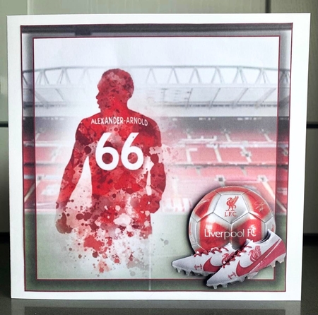 Football LFC Bumper Kit    by Elaine  Harmer
