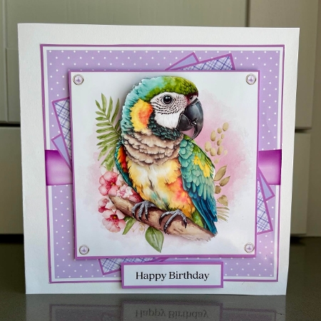Tropical Parrot (7x7 inch square card kit) by Elaine  Harmer