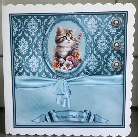 Framed Cat (2) by Elaine Harmer