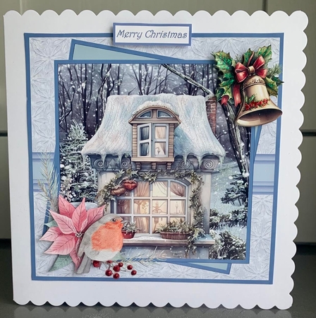 Robin at the window 7x7 by Elaine  Harmer