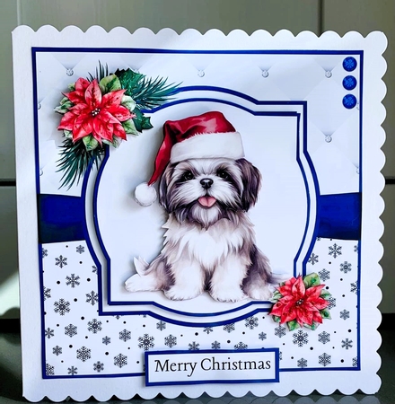 Christmas Shih Tzu by Elaine  Harmer