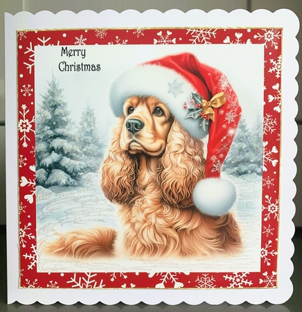 Santa Hat Dogs 4 by Elaine  Harmer