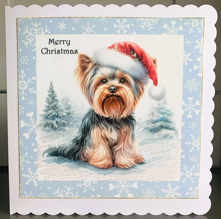 Santa Hat Yorkies by Elaine  Harmer