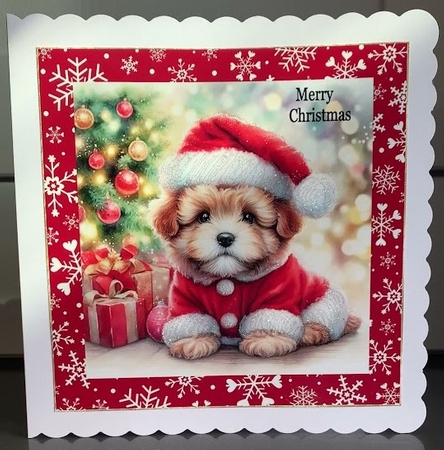Santa Pup by Elaine Harmer