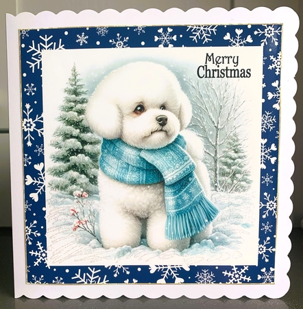 Snow Time Bichon by Elaine Harmer