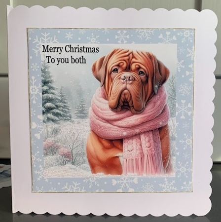 Snow Time Dogue de Bordeaux by Elaine  Harmer