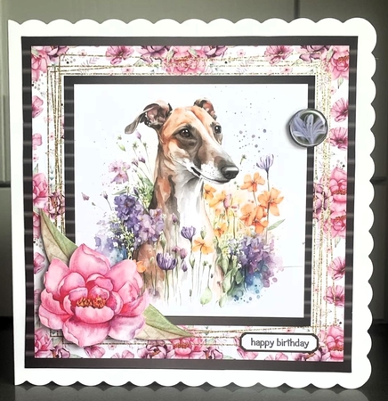 Whippet Birthday by Elaine Harmer