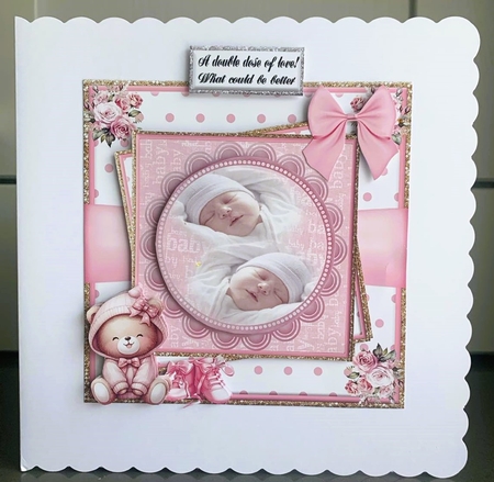  Baby Girl Twins by Elaine  Harmer