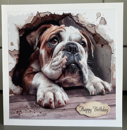Bulldog by Elaine  Harmer