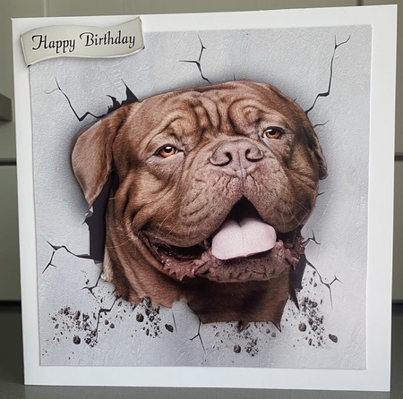 (Dogue de bordeaux) you called by Elaine  Harmer