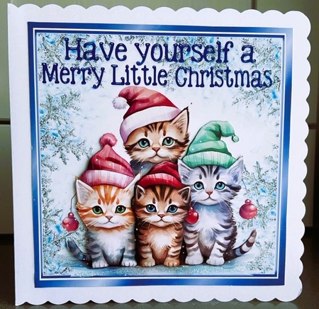 Cute Kittens In Santa Hats iN 8X8 Snowflake Christmas Frame by Elaine  Harmer