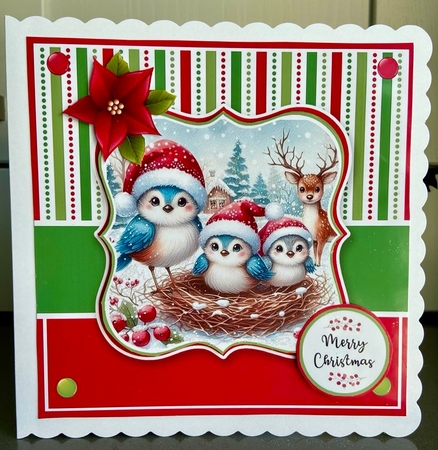 Mixed Christmas Card & Toppers Set 2 by Elaine  Harmer