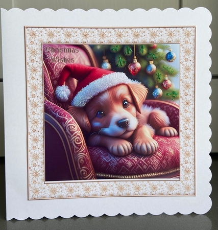 Christmas animals by Elaine Harmer