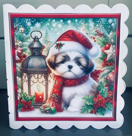 Christmas Lantern Pups (6) 3 by Elaine  Harmer