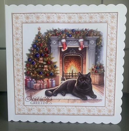 Festive Black Cat Backgrounds by Elaine Harmer