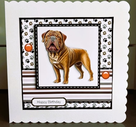Dogue De Bordeaux Birthday by Elaine  Harmer