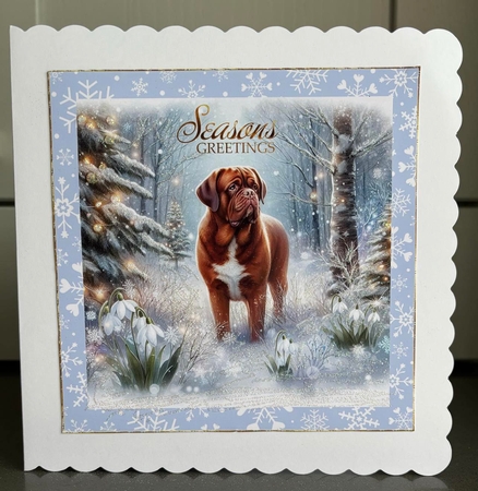 Winter Snowdrop Forest Dogs 14 by Elaine  Harmer