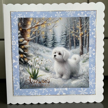 Winter Snowdrop Forest Dogs 14 by Elaine  Harmer