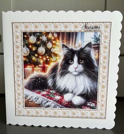 Christmas Tree Cat 1 by Elaine  Harmer